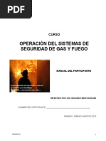 Manual Del Sistema de Seguridad Gas y Fuego