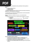 Diabetes y Embarazo