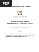 Protocolo de Investigacion Marco Teorico ALIMENTACION A PARTIR D LOS 6 MESES