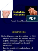 Sindactilia