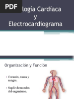 Fisiología Cardíaca