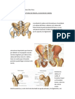 2f 3c-Fracturas de Femur Luxacion de Cadera