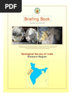 Briefing Book