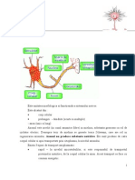 Fiziologie - Curs 5 Neuronul + Miocardul