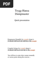 Trygg-Hansa Dumpmaster: Quick Presentation