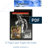 A. J. Jarrett - Série Nehalem Pack 02 - O Tigre Que Fugiu Do Lobo