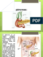 Pancreas