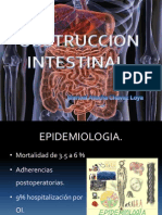 Obstruccion Intestinal Cirugia