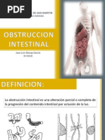 Obstruccion Intestinal