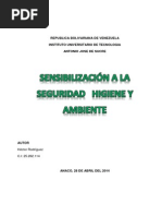 Sensibilización A La Seguridad Higiene y Ambiente