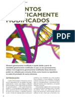 Alimentos Geneticamente Modificados