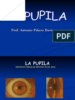 Pupila