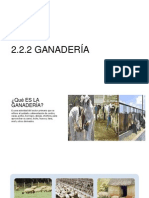 2.2.2 Ganadería