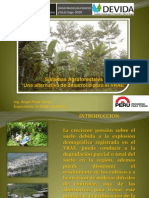 Sistemas Agroforestales