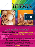 Glucidos 2