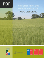 Criterios Tecnicos Trigo Candeal