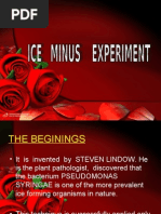 Ice Minus Experiment