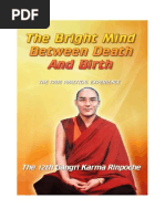 The Bright Mind Between Death and Birth by The 12th Gangri Karma Rinpoche