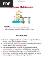 Software Maintenance: IT/ Project Management/ Business Analysis Consultant & Trainer