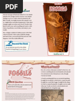 Fossil A-Z Book