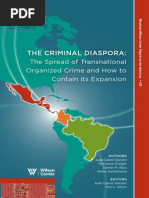 Criminal - Diaspora (Eng Summary)