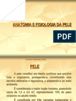 Anatomia e Fisiologia Da Pele