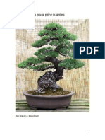 Guia Practica para Crear Tu Bonsai