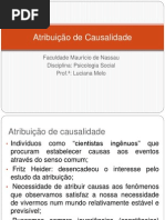 Atribuição de Causalidade