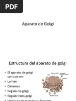 Aparato de Golgi