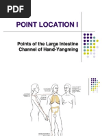 Class 2 - Hand Yangming Large-Intestine Channel