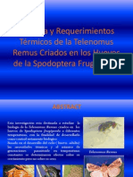 Biología y Requerimientos Térmicos de La Telenomus Remus