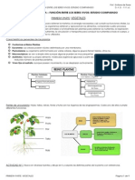 Vegetales PDF