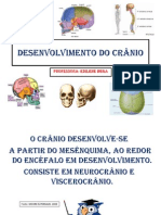 Desenvolvimento Do Crânio