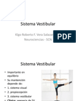 Sistema Vestibular