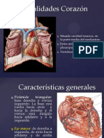 Anatomia 2