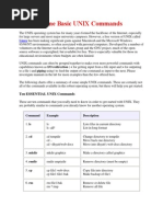 Some Basic UNIX Commands