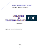 Leadership Structuri