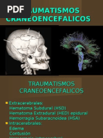 Traumatismo Craneoencefalico