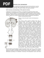 Sensory and Its Disorders