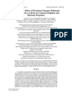 Assessing The Effect of Persistent Organic Pollutants On Reproductive Activity in Common Dolphins and Harbour Porpoises