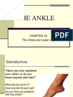 Ankle