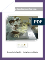 Manual de BPM PDF