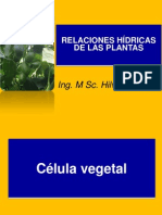 Relaciones Hidricas Plantas (Autotrodas)