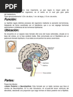 Trabajo Bioq