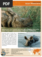 Asian Rhino Factsheet2006 PDF