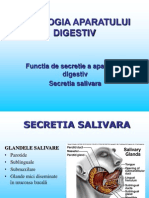 Functia Secretorie A Salivei