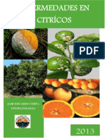 Enfermedades de Los Citricos