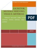 Sistema Escretor, Sistema Nervoso, Veias e Artérias.