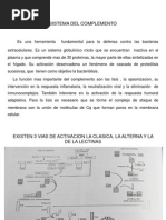 Sistema Del Complemento