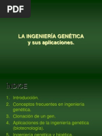 Ingeniería Genética